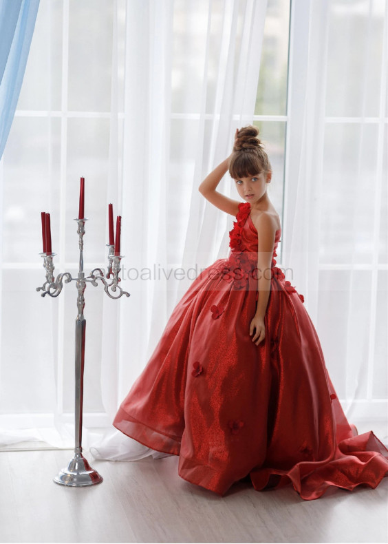 One Shoulder Dark Red 3D Flowers Shiny Organza Flower Girl Dress